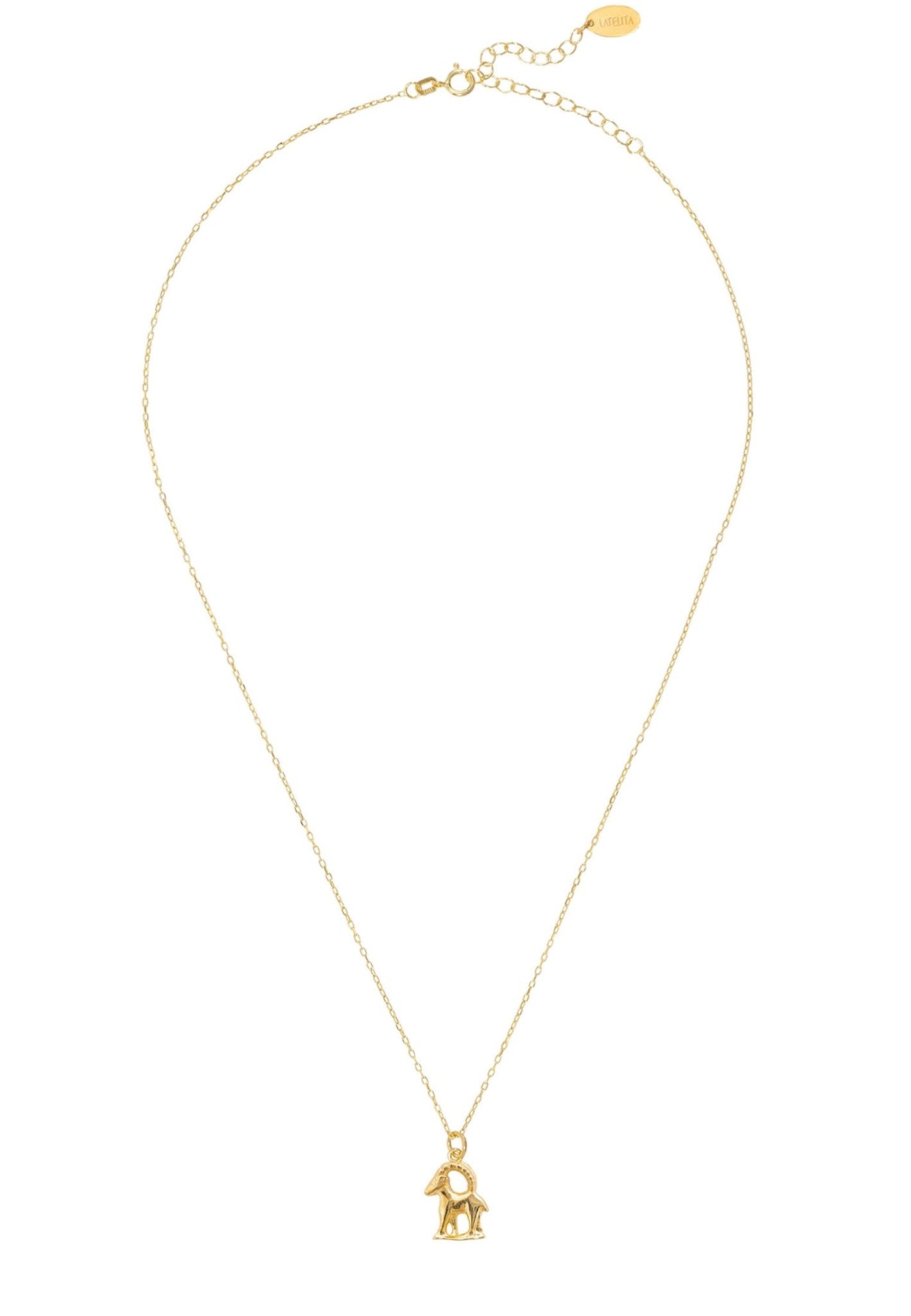 Capricorn zodiac star necklace gold